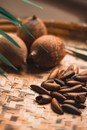 Free stock photo of azeite, babaçu, blur