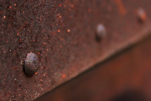 Free stock photo of rust