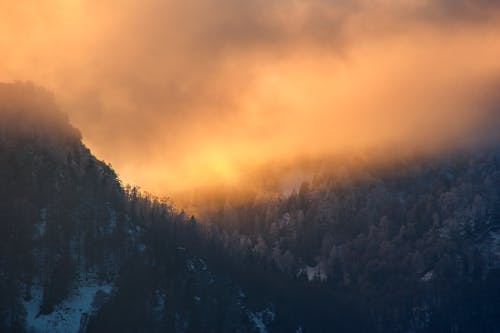 Δωρεάν στοκ φωτογραφιών με αυγή, βουνό, δέντρα Φωτογραφία από στοκ φωτογραφιών