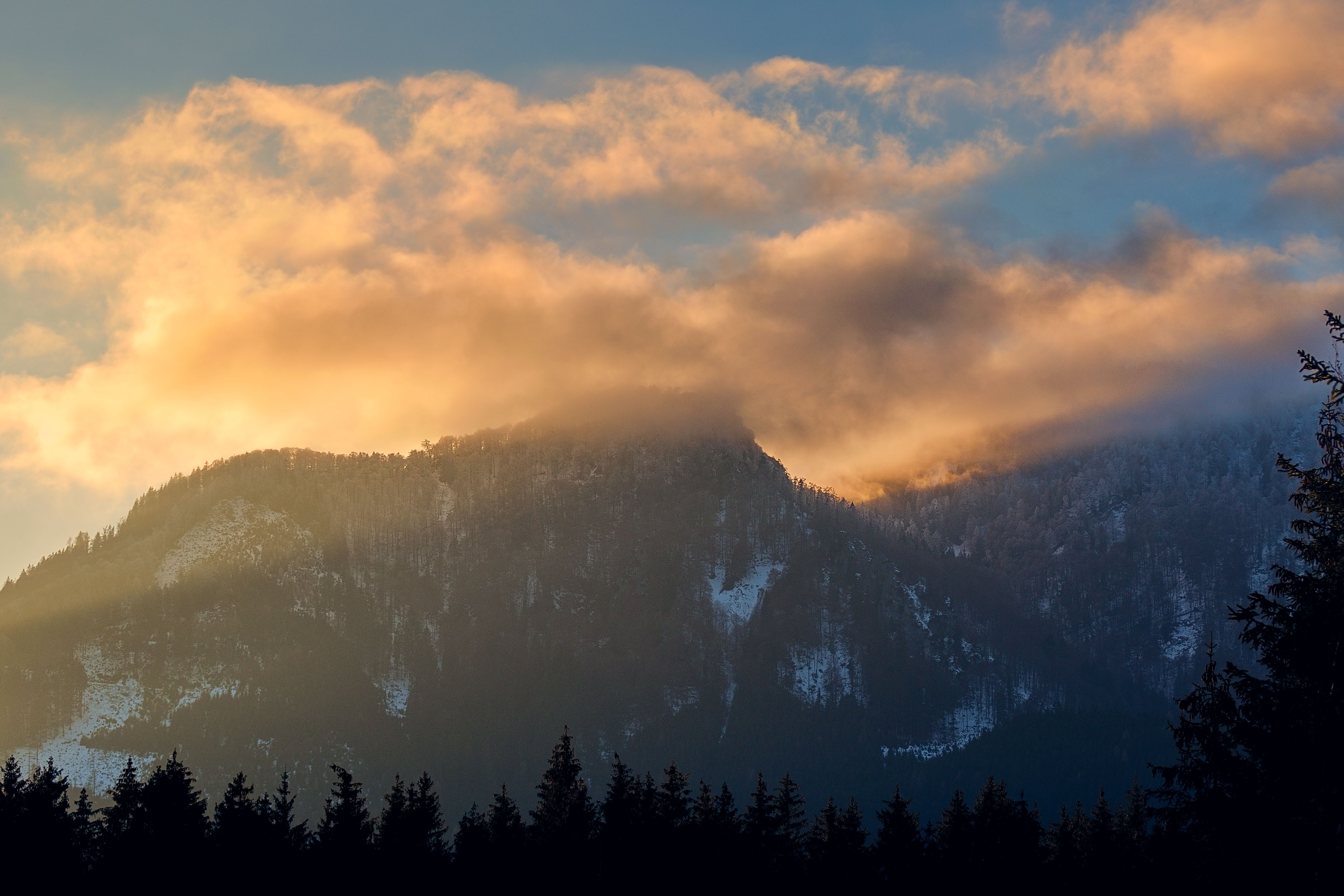 Silhouette of Trees Near the Mountain Under Cloudy Sky · Free Stock Photo