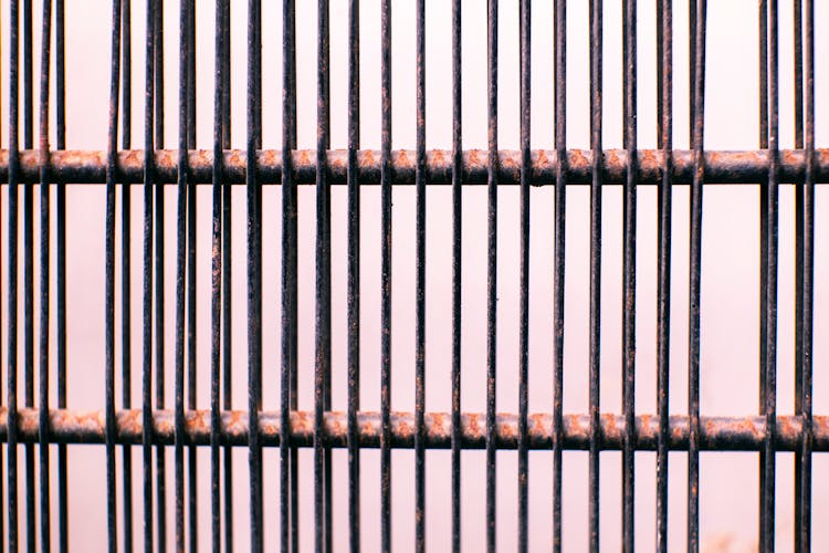 Metal Fence Against Light Background