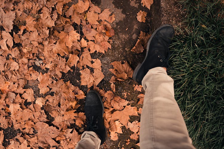 Man Walking On Dry Autumn Leaves