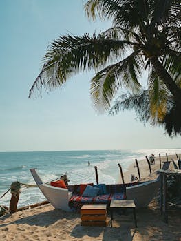 Stunning beachside setup in La Gi, Vietnam with palm trees and ocean views.