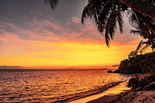 Breathtaking view of a tropical sunset with palm trees lining a sandy beach and vibrant sky colors.