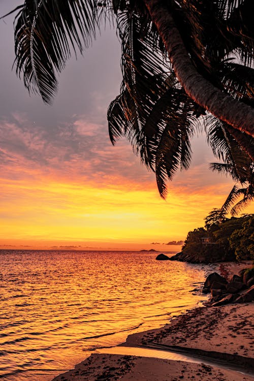 Scenic View of a Beach during Sunset