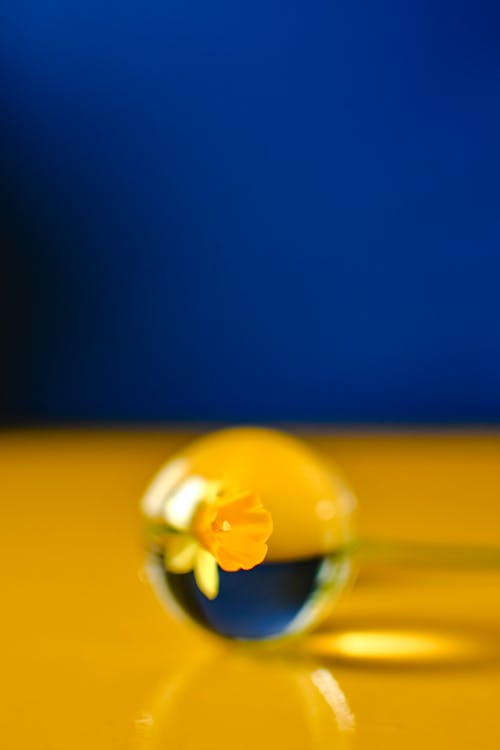 反射, 垂直ショット, 水晶球の無料の写真素材