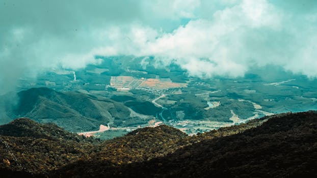 从空中俯瞰，云雾缭绕的郁郁葱葱山谷令人惊叹