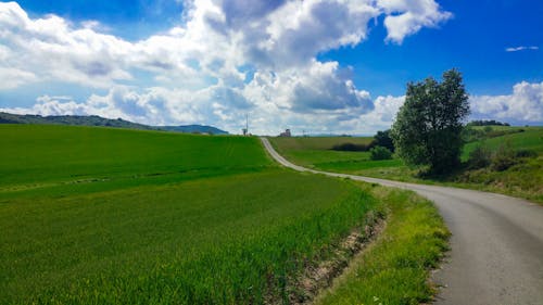 Free stock photo of blue sky, fields, grass