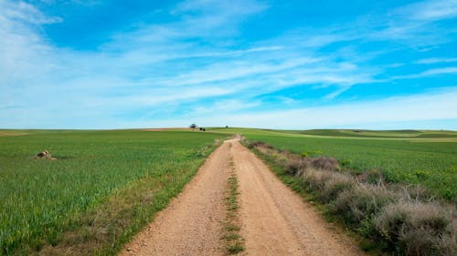 Free stock photo of blue, blue sky, dirt road