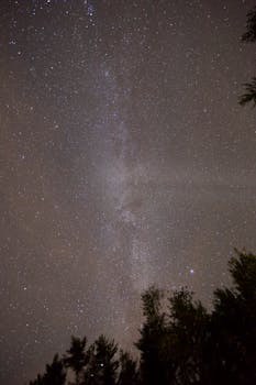 Breathtaking view of the Milky Way against a starry night sky framed by silhouettes of trees.