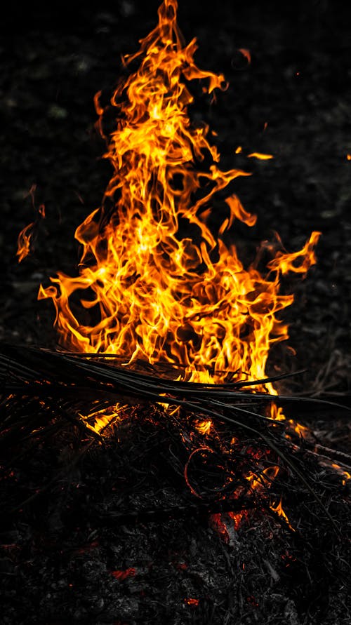 Foto profissional grátis de aquecido, ardente, brilhante