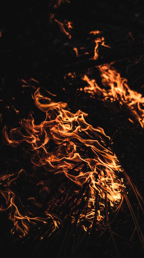 Free Branches of tree burning in hot bonfire with glowing sparks and flames in dark forest in evening time in nature Stock Photo