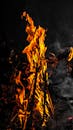 Burning hot bonfire with smoke