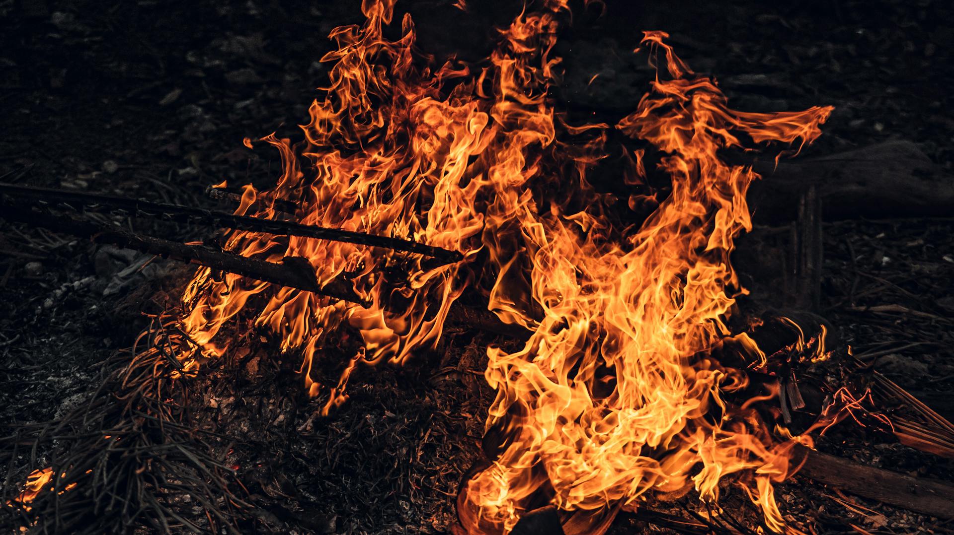 Bright bonfire with long fried branches burning on ground with hot orange blazing flames in murk forest in evening time