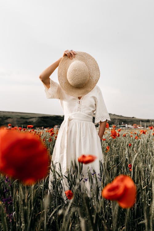 Anonymous female in elegant dress covering face with straw hat while standing on field with blooming red flowers in countryside