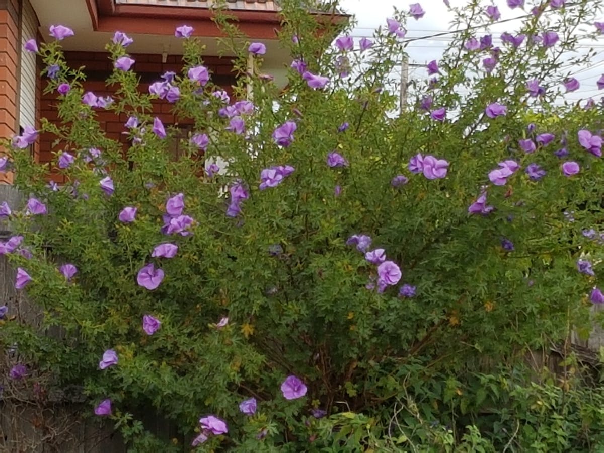 Model in metallic Y2K-inspired outfit standing in front of neon lights