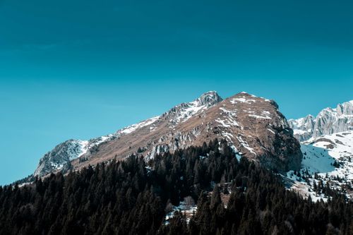 Free Coniferous woods with green trees growing near rocky mountains covered with snow against blue sky on cold winter day in nature Stock Photo