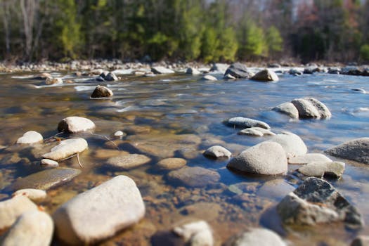 Free stock photo of nature, rocks, river, stones