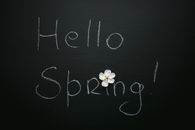 Hello Spring inscription with blooming flower on black background