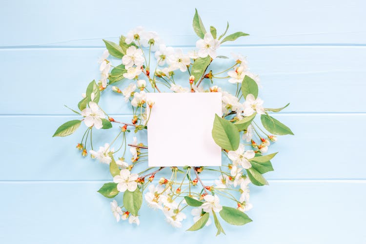 Empty Paper Card On Blooming Prunus Sprigs On Blue Background