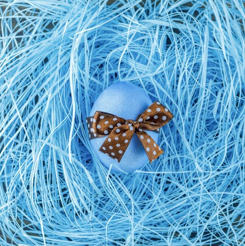 Overhead view of blue egg tied with brown bow in nest during festive event in spring