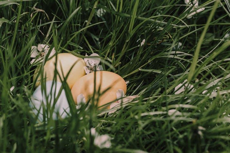 Painted Eggs With Blooming Flowers Among Grass