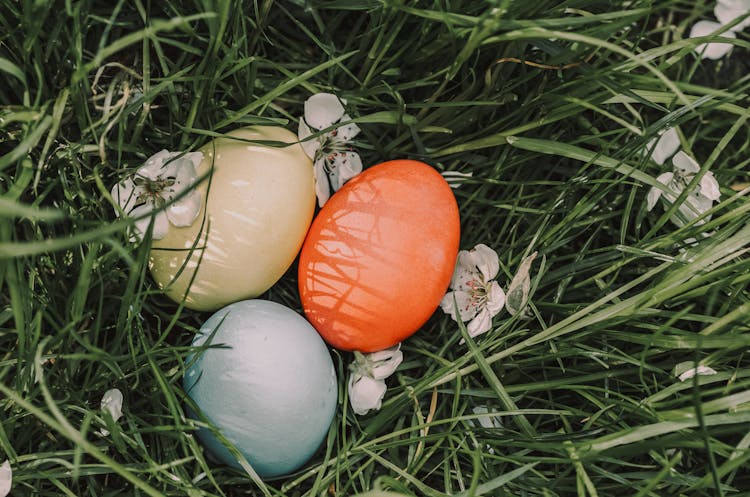 Painted Eggs On Grass With Blooming Flowers On Easter Day