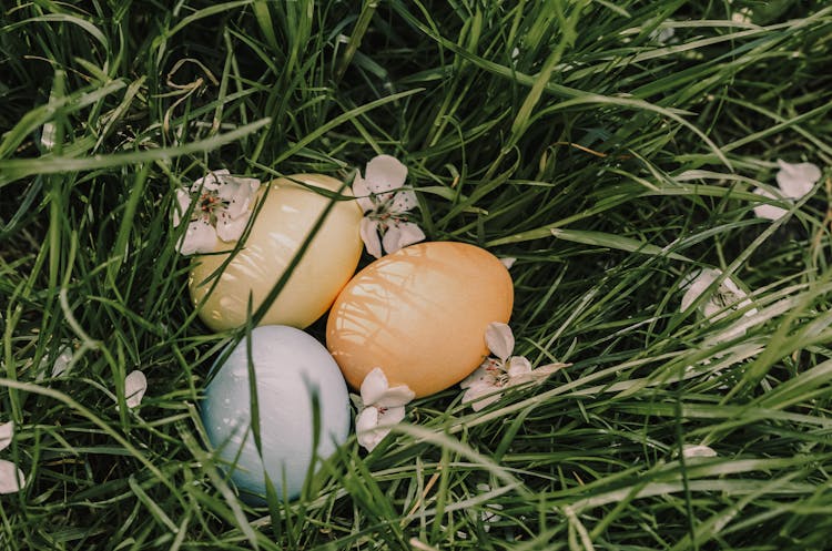 Easter Eggs With Blooming Flowers On Grass