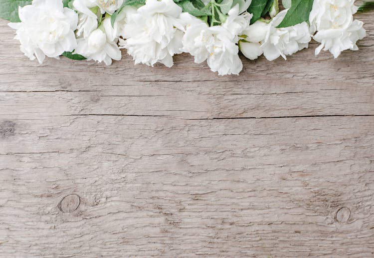 Bunch Of White Jasminum Sambac Flowers Arranged On Wooden Table