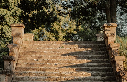 Aged stone steps in green park on sunny day