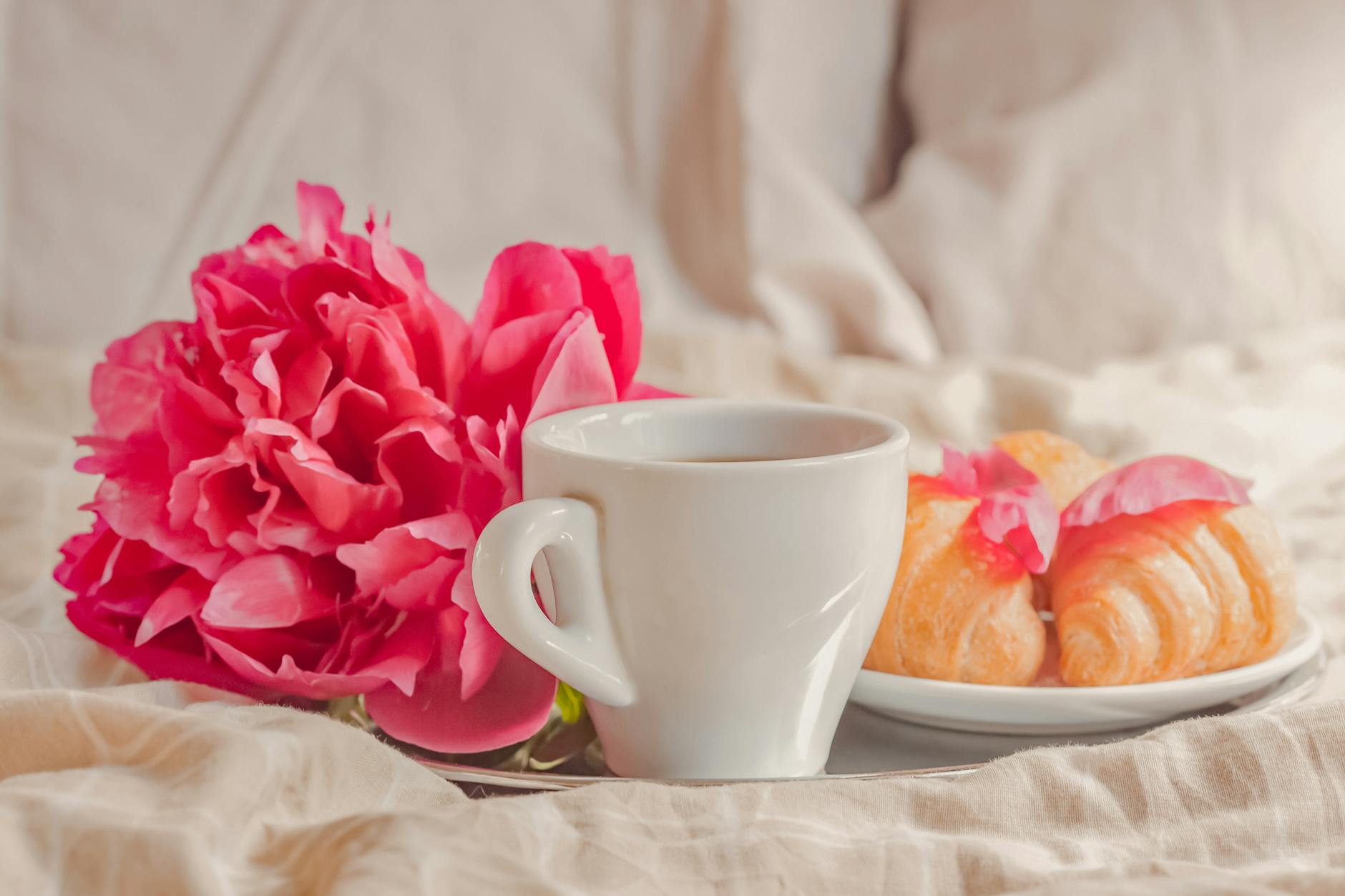 Delicate peony with bright pink petals placed on comfortable bed with cup of aromatic coffee and freshly baked croissants