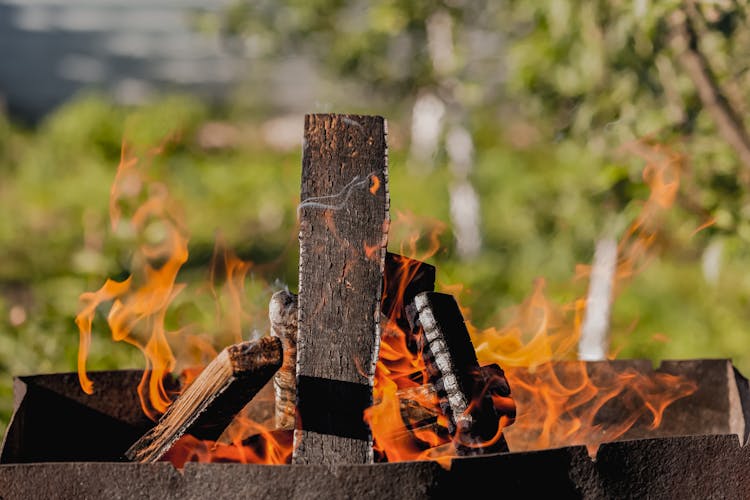 Firewood In Brazier In Green Garden