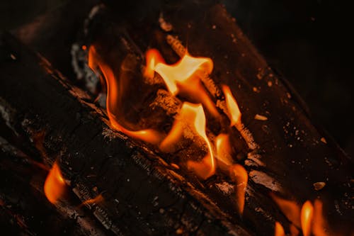Closeup of bright orange flames of burning fire at campsite at dark night
