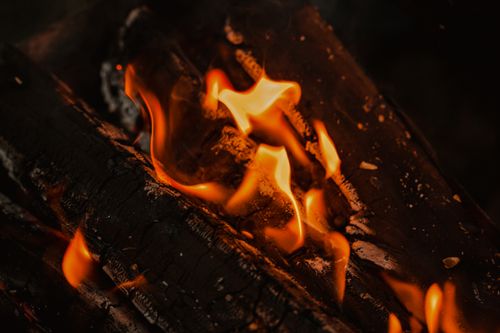 Free Closeup of bright orange flames of burning fire at campsite at dark night Stock Photo