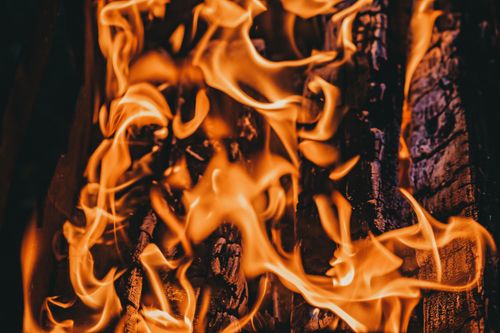 Free From above hot burning firewood with bright flame placed in bonfire in evening time Stock Photo