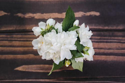 Free From above of bouquet of fresh white jasmine flowers placed on wooden table in daylight Stock Photo