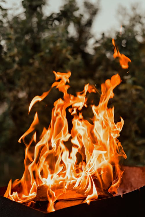 Burning firewood with bright blaze in countryside