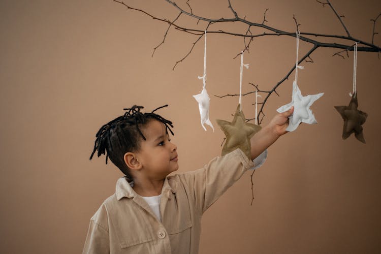 Cute Black Boy Touching Soft Handmade Stars Hanging On Branch