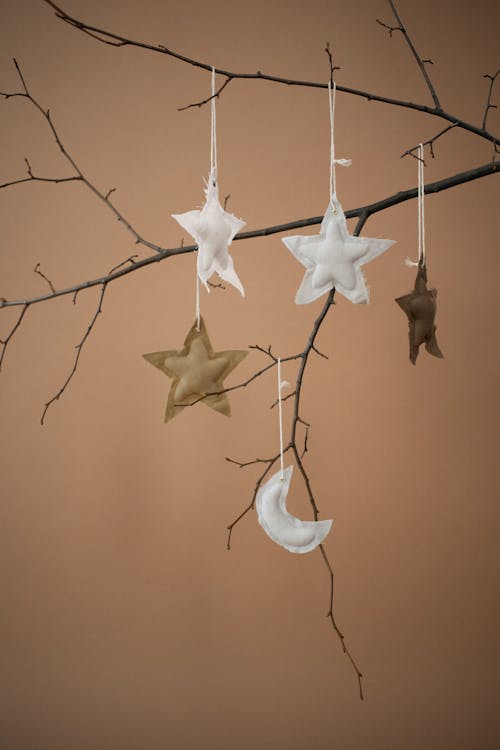 Decorative colorful stars and crescent hanging on threads on thin leafless tree branches on brown background in modern light studio
