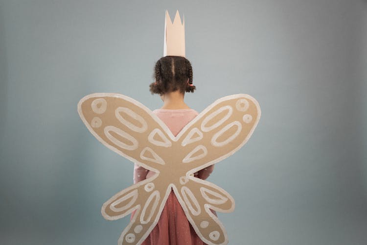 Anonymous Girl With Fairy Wings