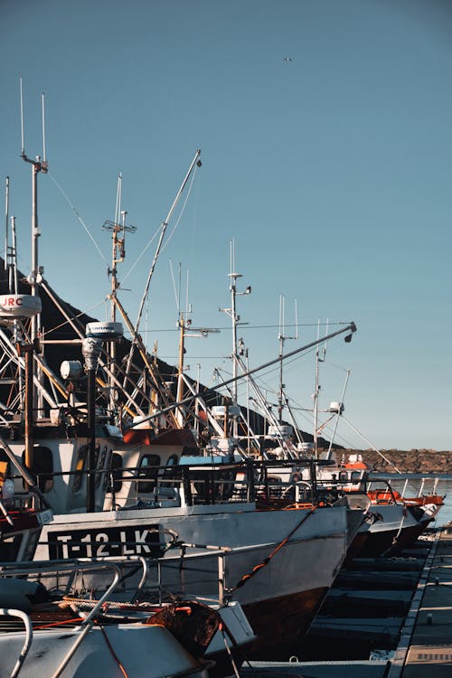 Free Docked Fishing Boats on Pier Stock Photo