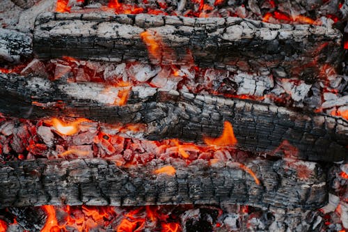 Top view of textured backdrop representing cut tree trunks with rough surface burning in bright fire in daytime