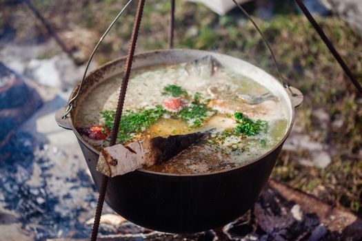 Soupe de poisson (Ukha)