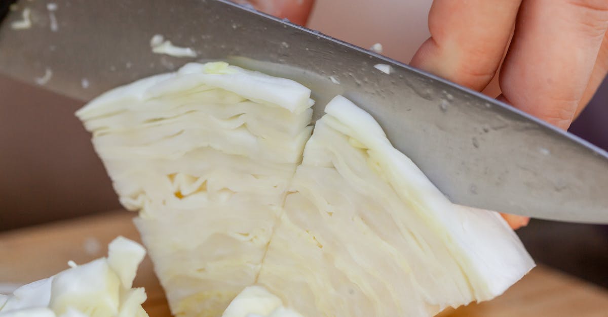 How to cut cabbage for coleslaw food processor