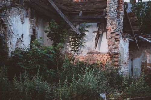 Free A weathered brick and wood structure overtaken by greenery, showcasing abandonment and decay. Stock Photo