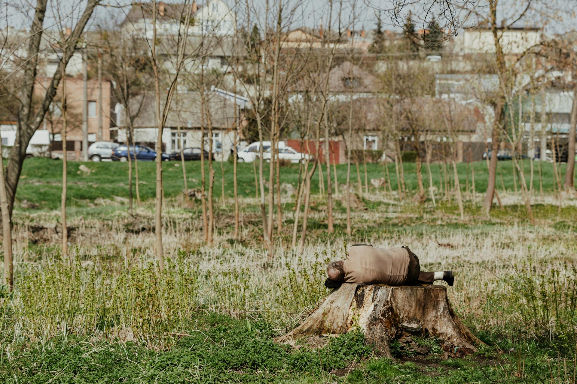 A man lies on a tree stump in a rural area with a village and trees in the background.