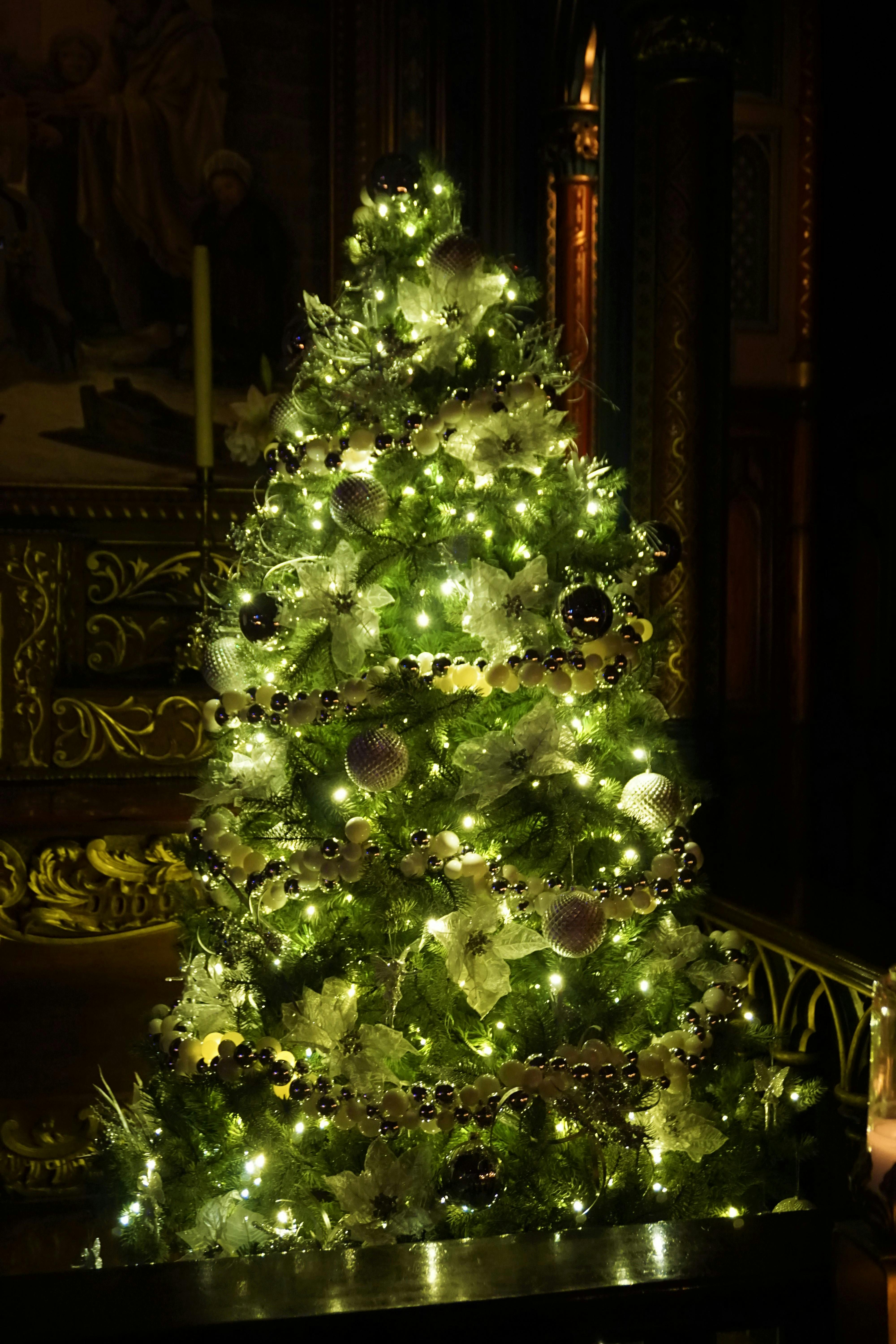 Free stock photo of christian, christmas tree, church