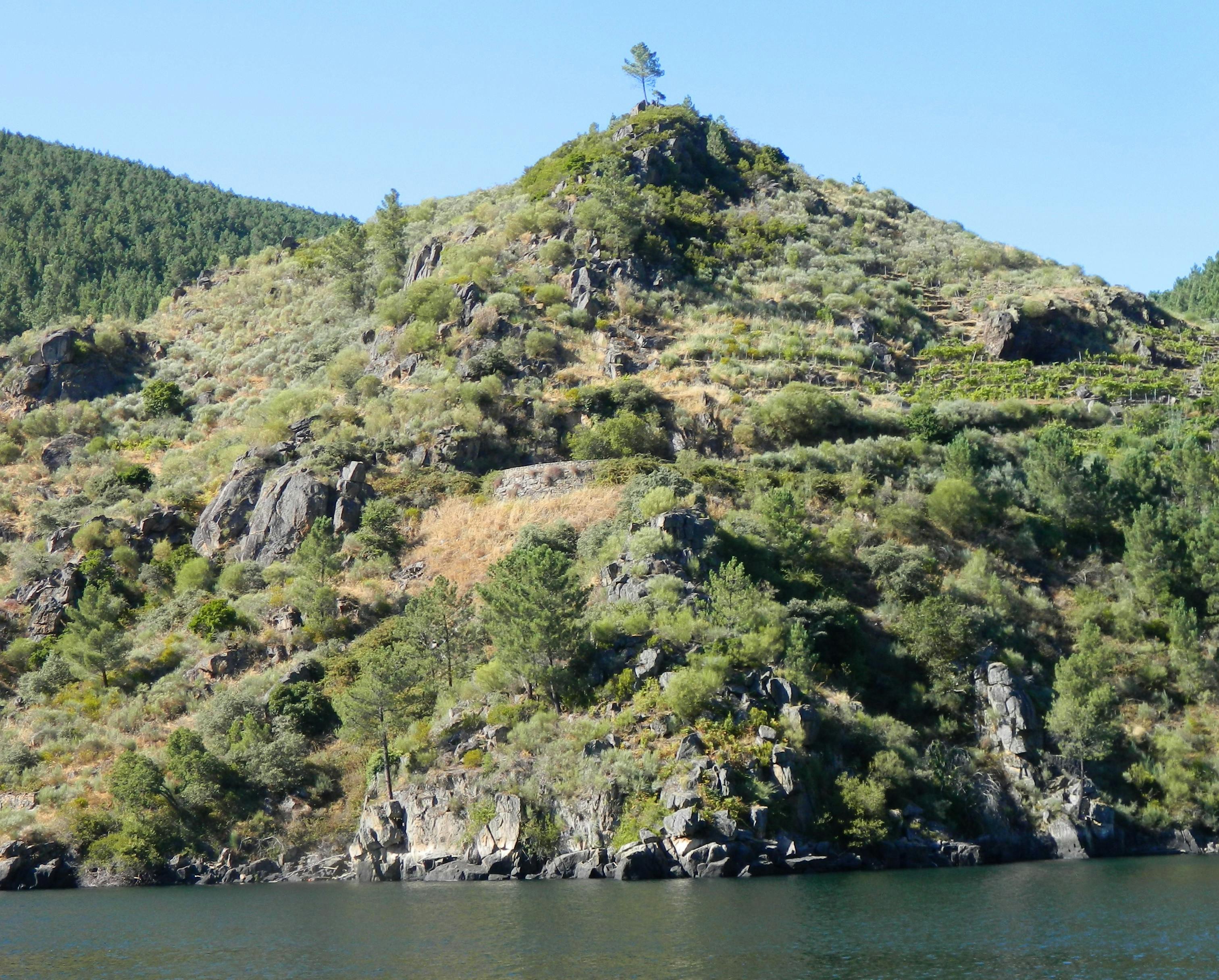 Mod Pizza team preparing catering order in kitchen