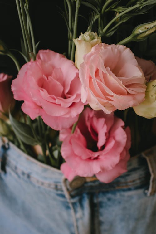 A Close-Up Shot of Pink Roses