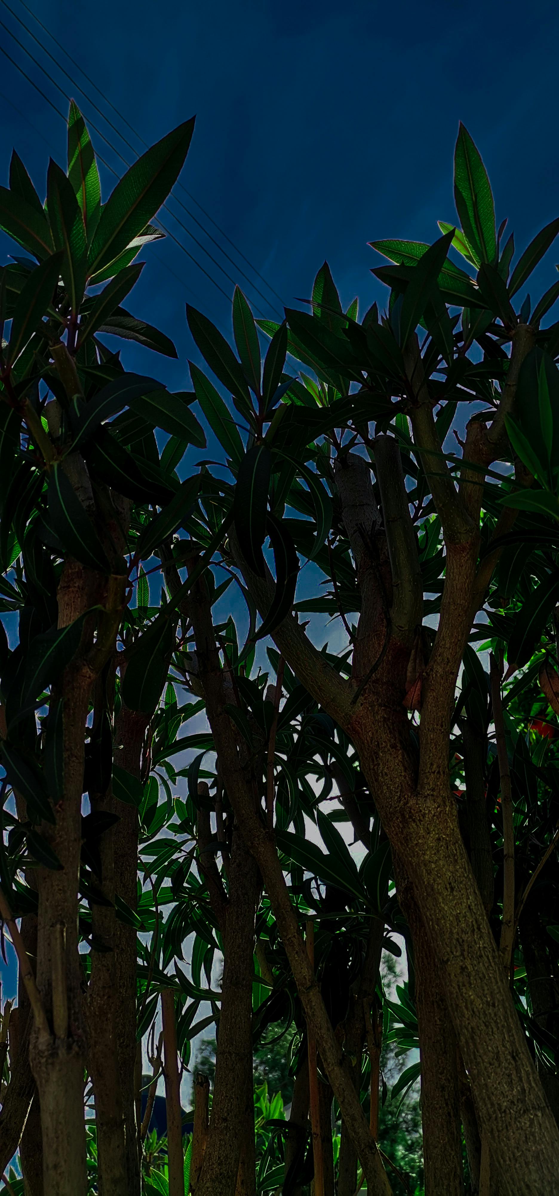 Close-up of 3D printed automotive parts with precision details